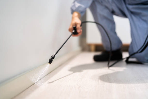 Rodent Entry Point Assessment in Coon Rapids