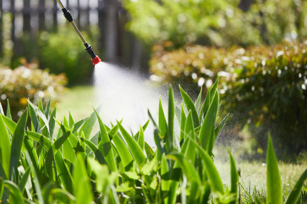 Tamper-Resistant Bait Stations for Rodents in Coon Rapids