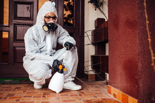 Attic and Crawl Space Rodent Treatment in Coon Rapids