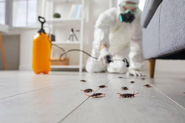 Commercial Rodent Management in Coon Rapids